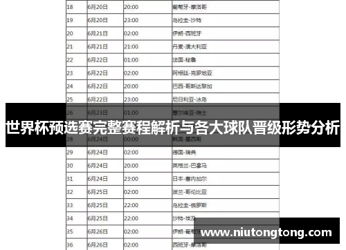 世界杯预选赛完整赛程解析与各大球队晋级形势分析